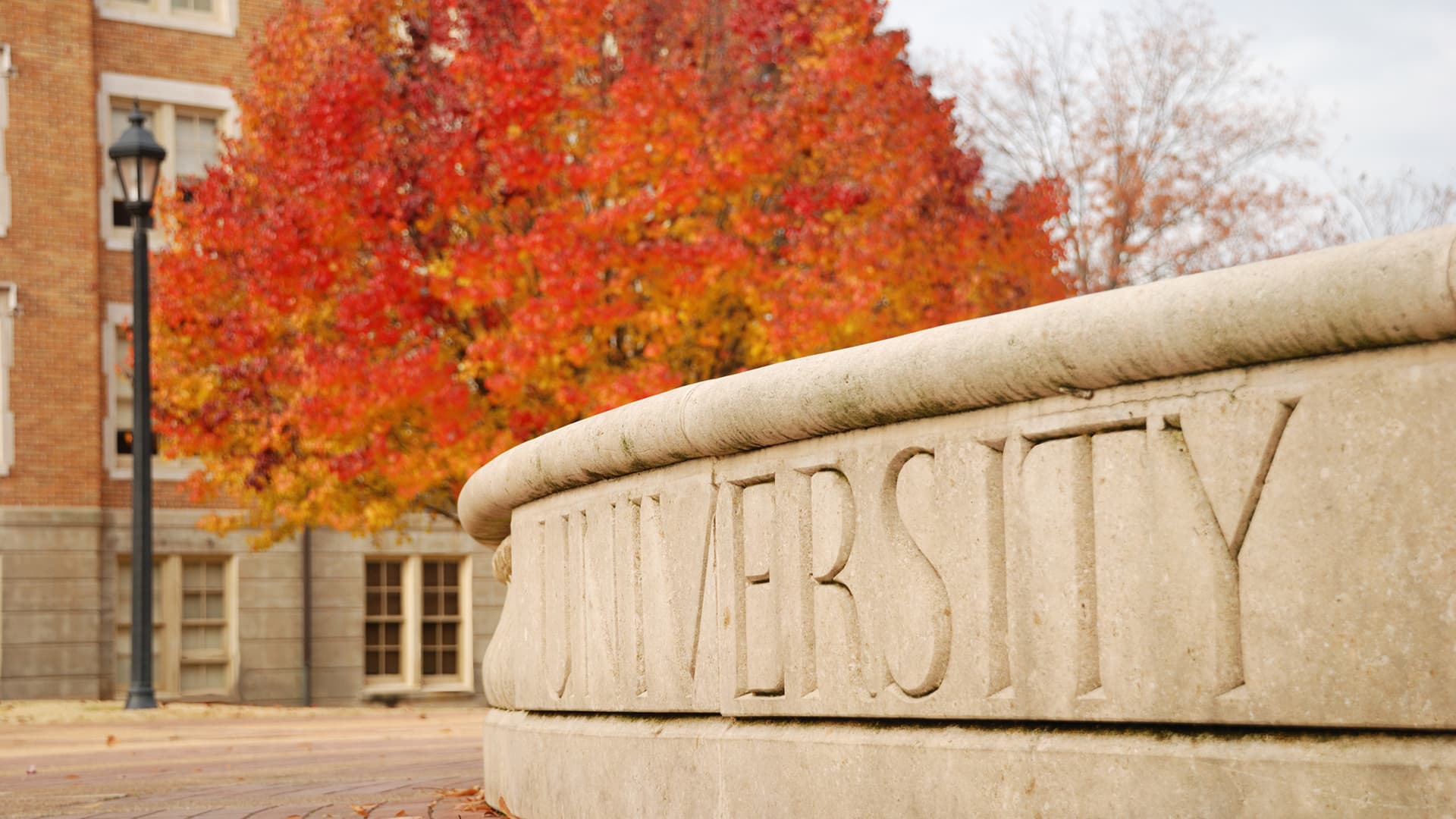 University sign in autumn