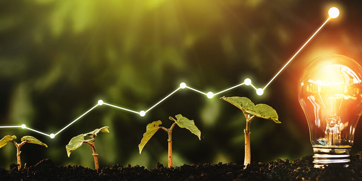 Seedlings growing in a line with a graph overlay leading to a glowing light bulb.