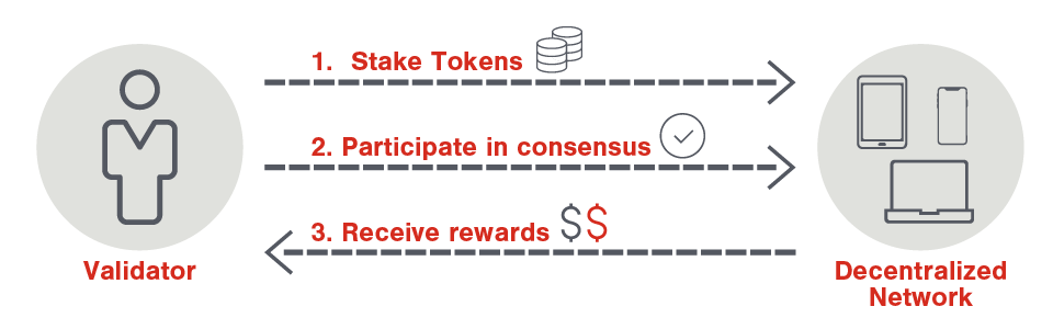 Stake tokens, participate in consensus, and receive rewards