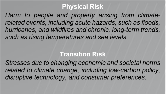 physical risks versus transition risk